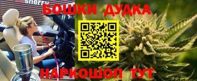 apvp Нарткала