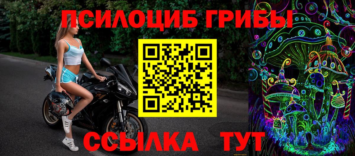Славянск-на-Кубани  как найти закладки  Вход с VPN  Псилоцибиновые грибы Psilocybine cubensis 